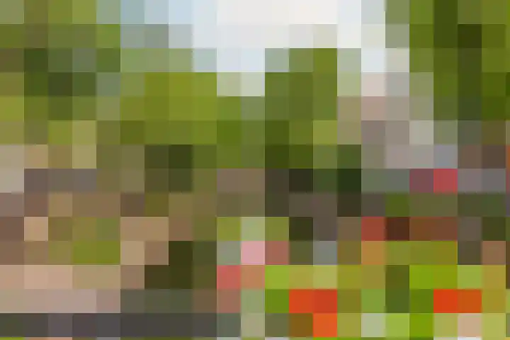 Geertekerkhof 10 Utrecht thumbnail 22