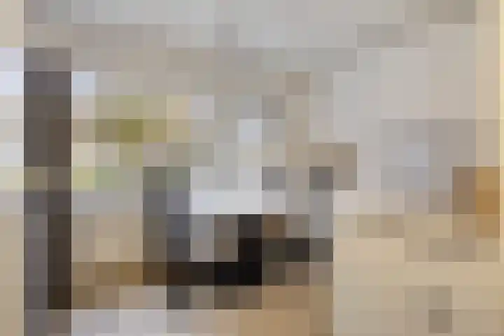 Geerten Gossaertdreef 1 Tilburg thumbnail 19