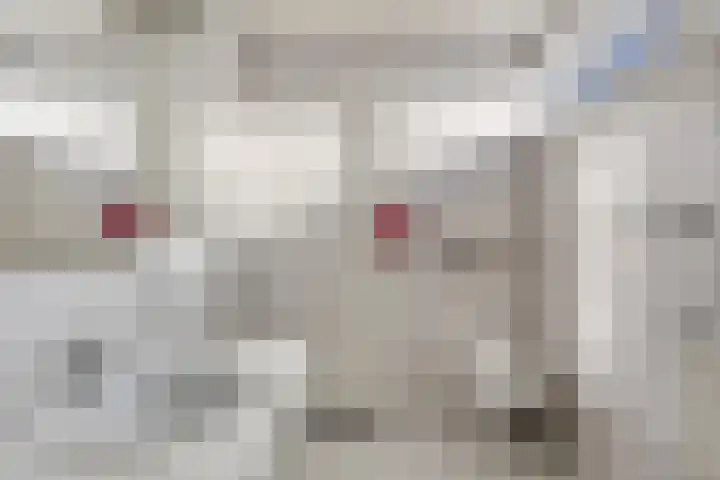 Geerten Gossaertdreef 1 Tilburg thumbnail 27