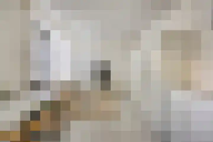 Geerten Gossaertdreef 1 Tilburg thumbnail 29
