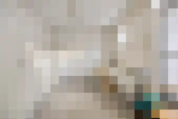 Geerten Gossaertdreef 1 Tilburg thumbnail 30
