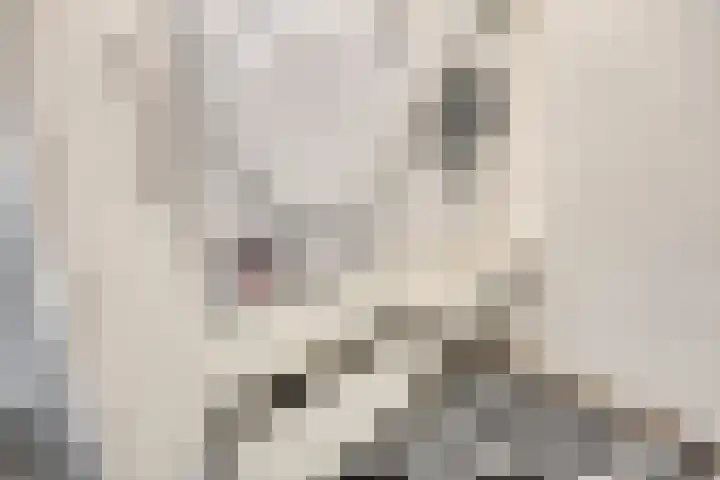 Geerten Gossaertdreef 1 Tilburg thumbnail 32
