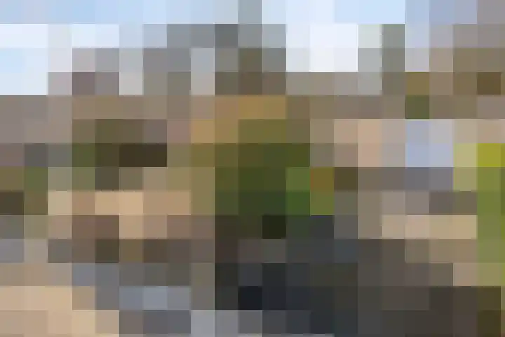 Geerten Gossaertdreef 1 Tilburg thumbnail 4
