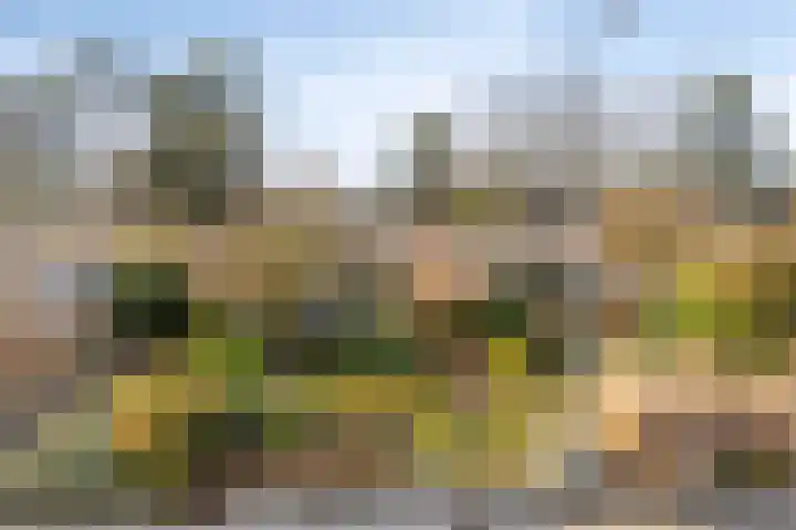 Geerten Gossaertdreef 1 Tilburg thumbnail 40