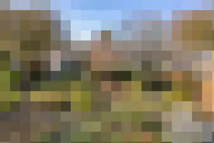 Geerten Gossaertdreef 1 Tilburg thumbnail 41