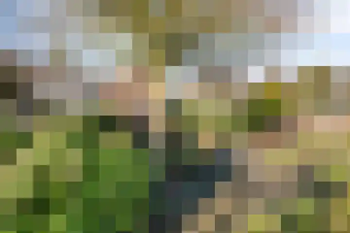 Geerten Gossaertdreef 1 Tilburg thumbnail 42