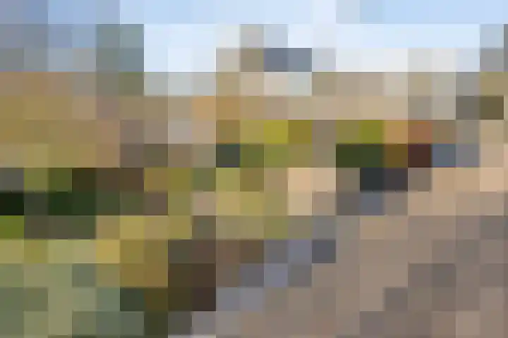 Geerten Gossaertdreef 1 Tilburg thumbnail 44