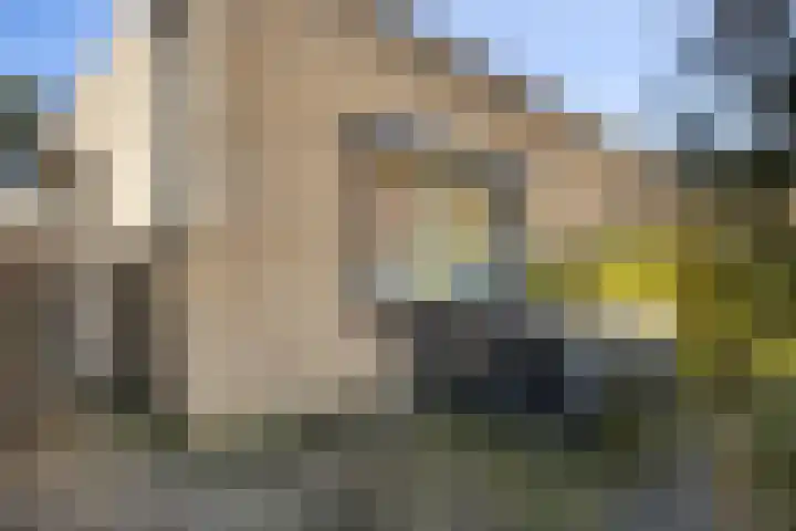 Geerten Gossaertdreef 1 Tilburg thumbnail 7
