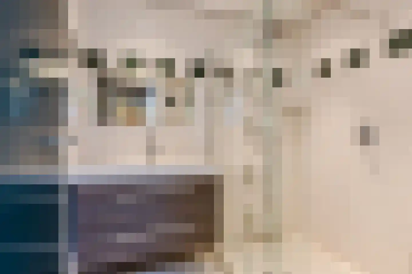 Geerten Gossaertdreef 2 Tilburg thumbnail 29