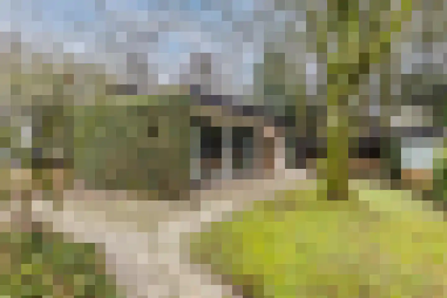 Geerten Gossaertdreef 2 Tilburg thumbnail 35