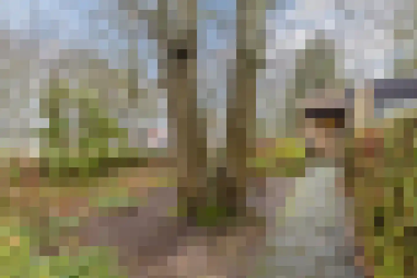 Geerten Gossaertdreef 2 Tilburg thumbnail 40