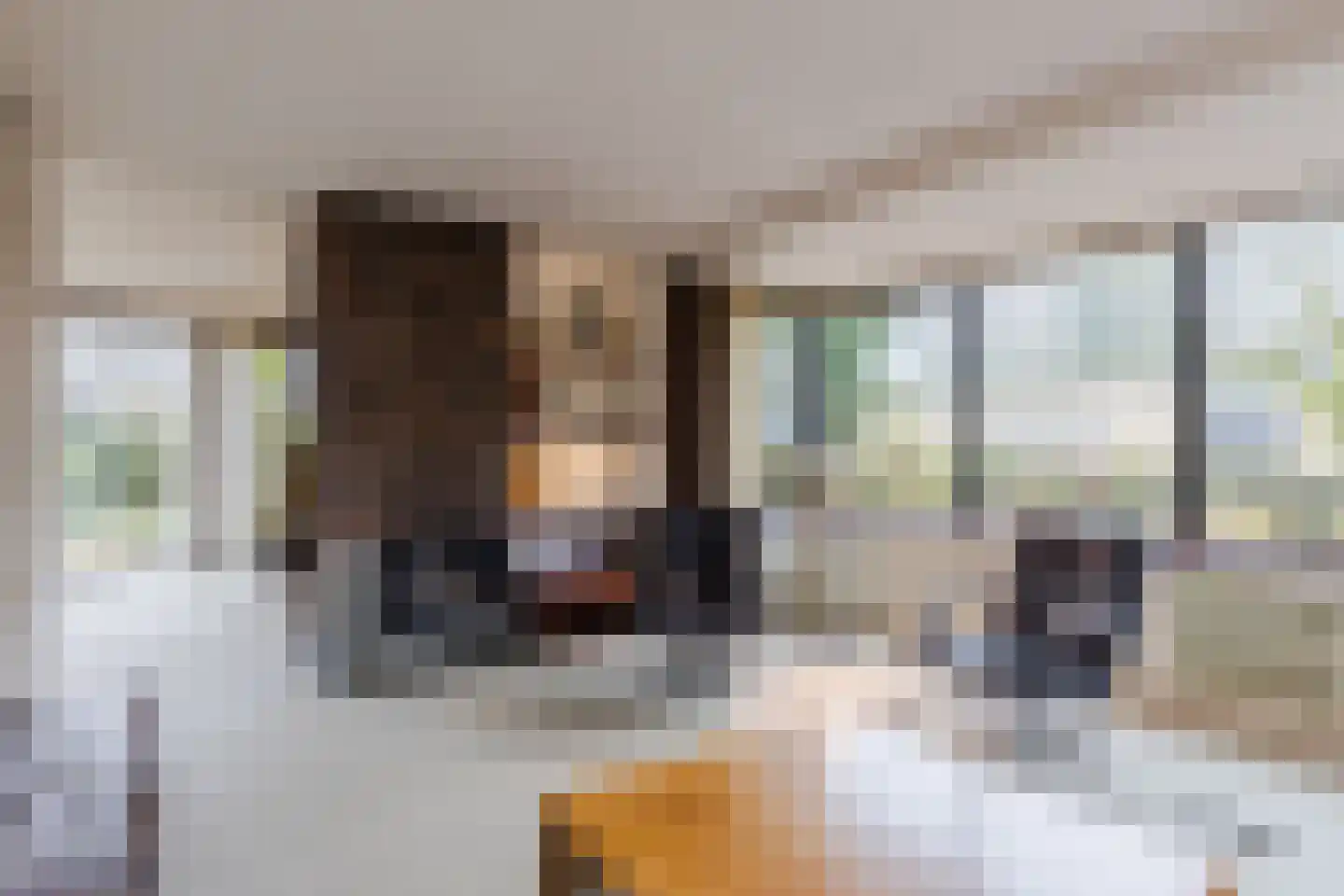 Geerten Gossaertdreef 2 Tilburg thumbnail 6