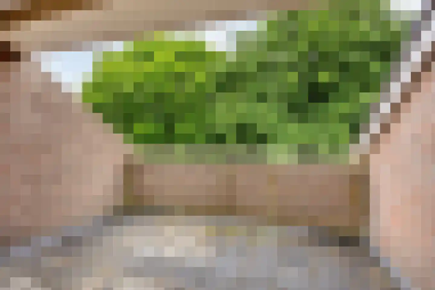 Geerten Gossaertlaan 5 Groningen thumbnail 37