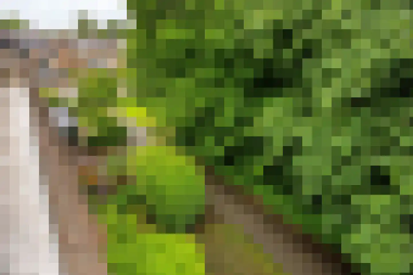 Geerten Gossaertlaan 5 Groningen thumbnail 39