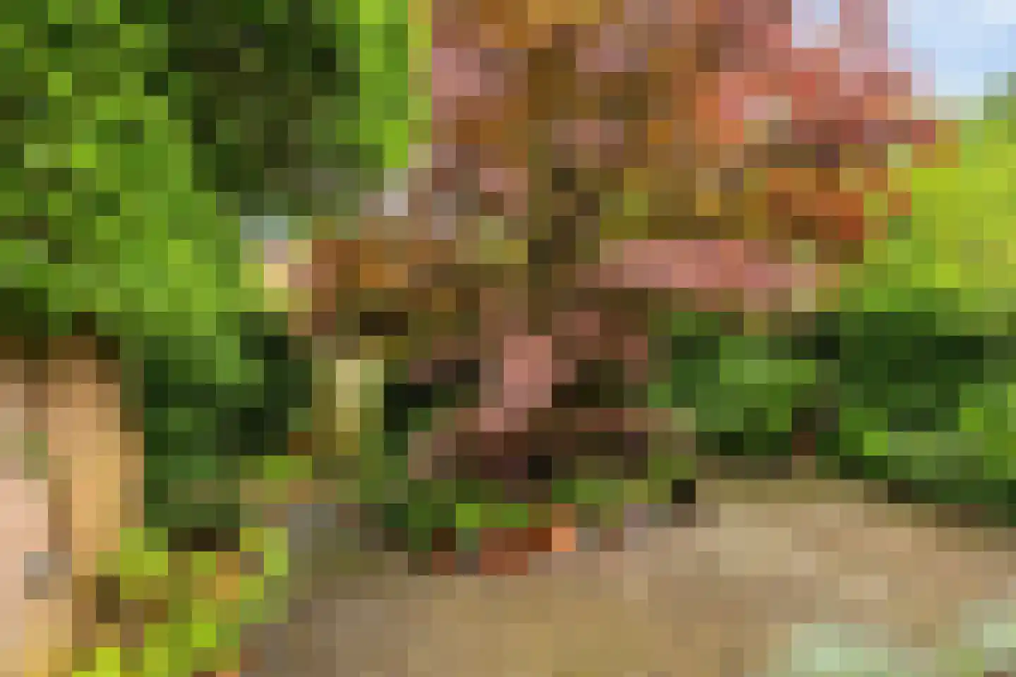 Geerten Gossaertlaan 5 Groningen thumbnail 42