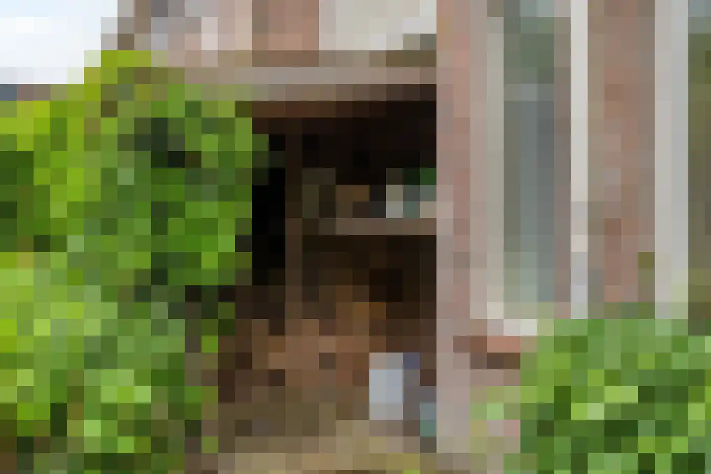 Geerten Gossaertlaan 5 Groningen thumbnail 43