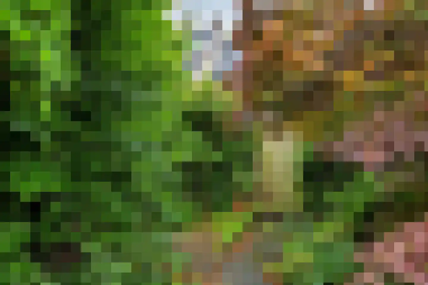 Geerten Gossaertlaan 5 Groningen thumbnail 44