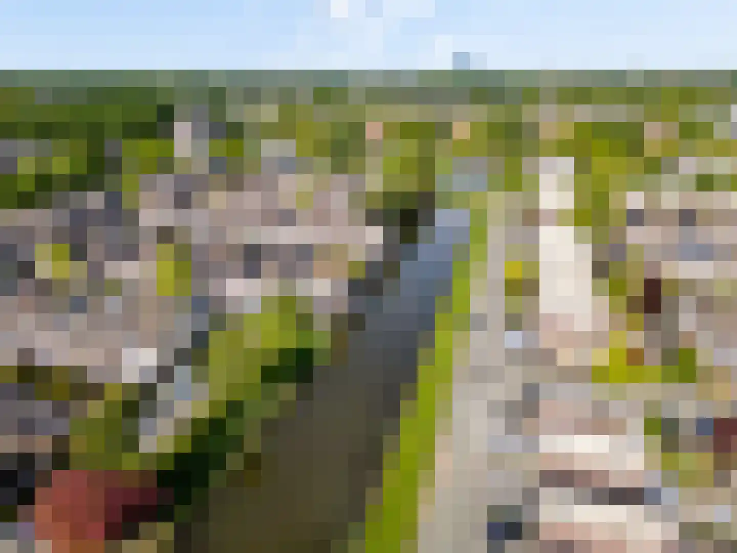 Geerten Gossaertpad 21 Almere thumbnail 49