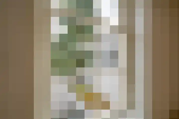 Geertestraat 10 Utrecht thumbnail 31