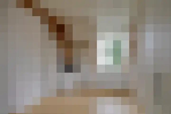 Geertestraat 10 Utrecht thumbnail 36