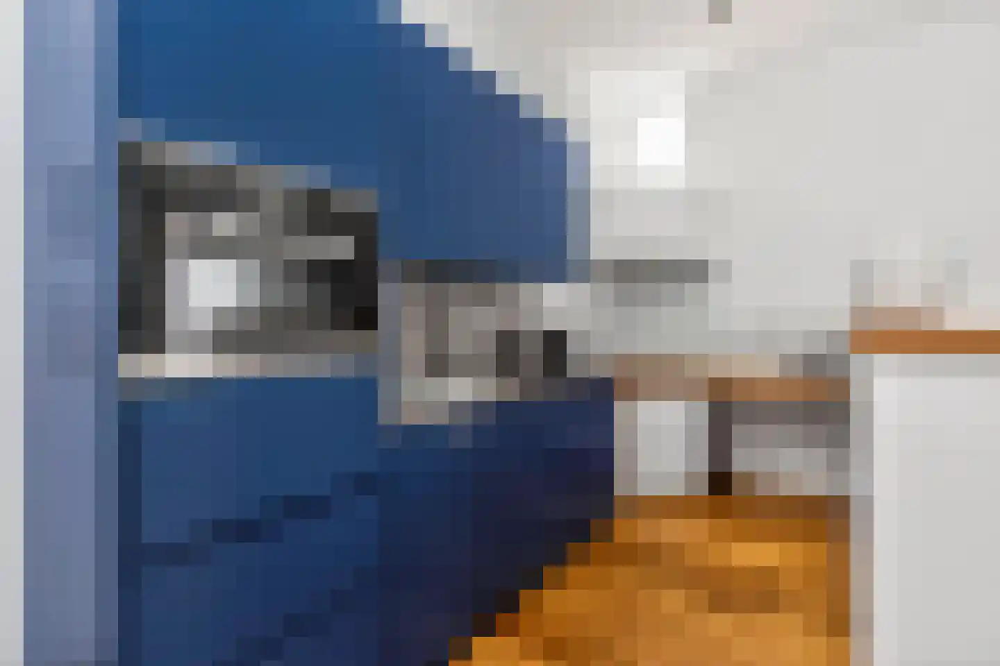 Geertestraat 15 Utrecht thumbnail 13