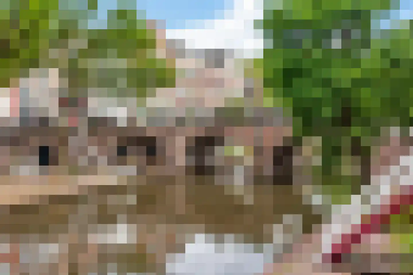 Geertestraat 15 Utrecht thumbnail 40