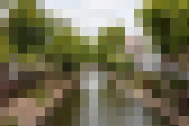 Geertestraat 17 Utrecht thumbnail 21