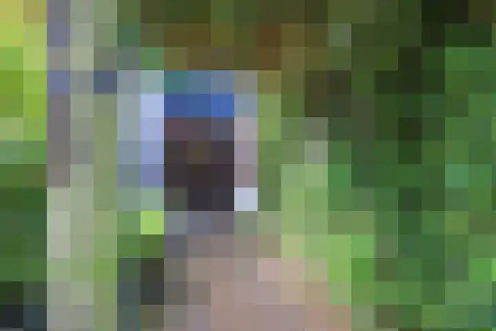 Geerteveld 40 Koog aan de Zaan thumbnail 24