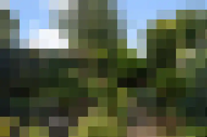 Geerteveld 50 Koog aan de Zaan thumbnail 24