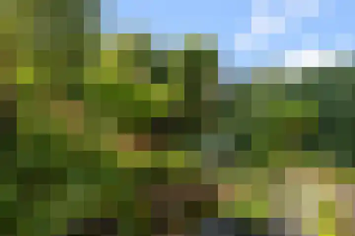 Geerteveld 50 Koog aan de Zaan thumbnail 25