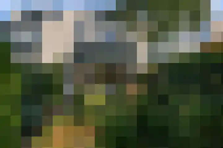 Geerteveld 50 Koog aan de Zaan thumbnail 26