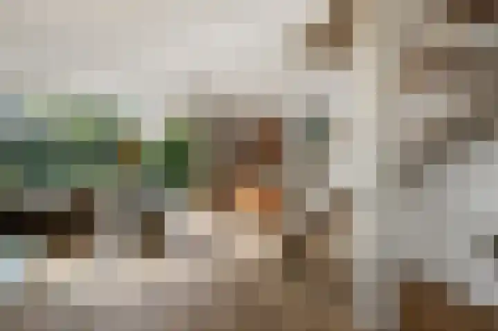 Geerteveld 50 Koog aan de Zaan thumbnail 4