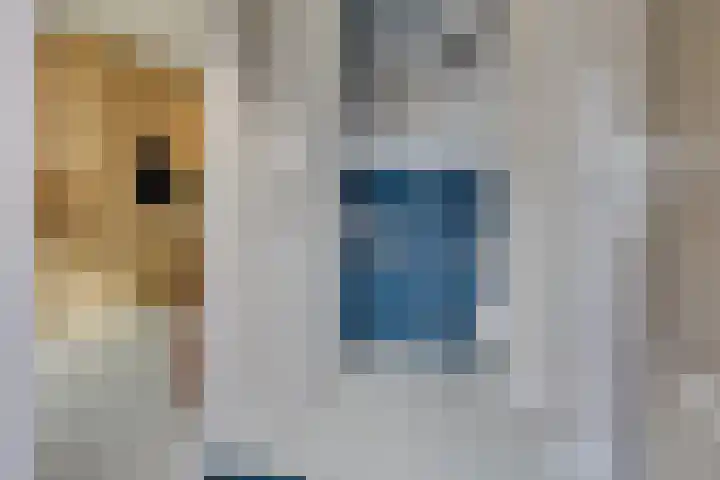 Geertje Zijlstrahof 3 Utrecht thumbnail 10
