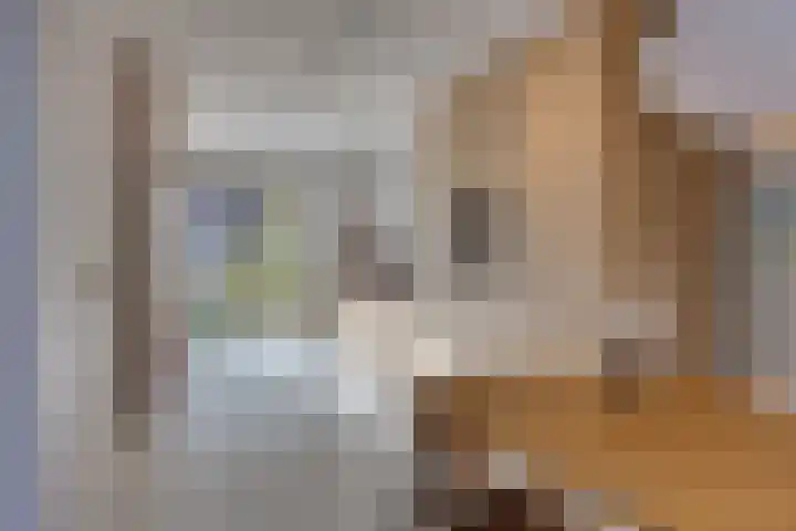 Geertje Zijlstrahof 3 Utrecht thumbnail 26
