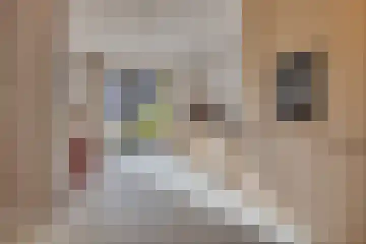Geertje Zijlstrahof 3 Utrecht thumbnail 30