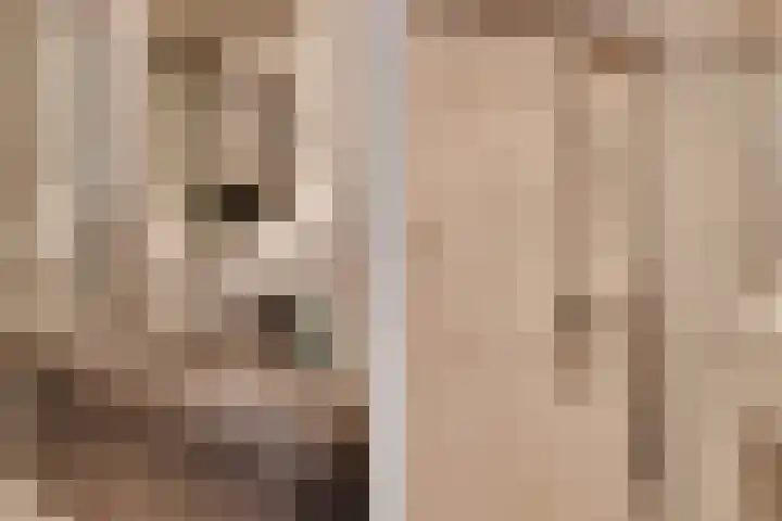 Geertje Zijlstrahof 3 Utrecht thumbnail 42