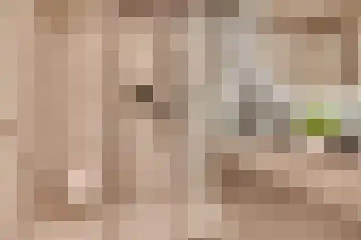 Geertje Zijlstrahof 3 Utrecht thumbnail 46