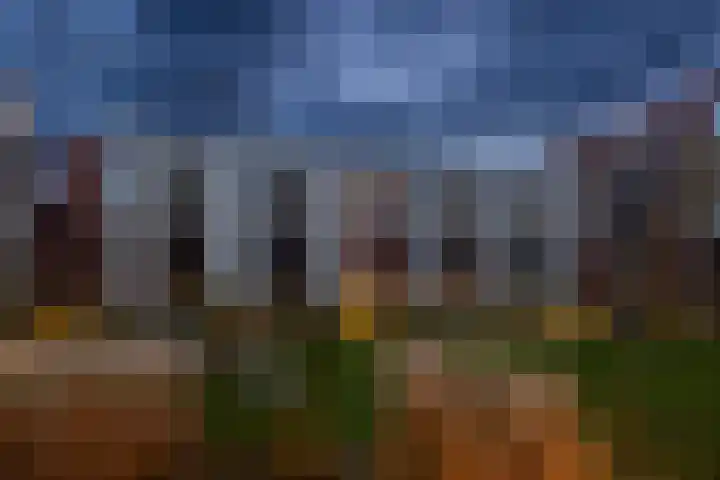 Geertje Zijlstrahof 3 Utrecht thumbnail 5