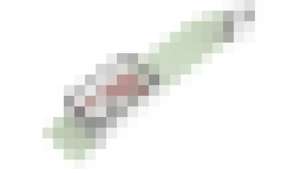 Geertjesweg 30 Wageningen thumbnail 33