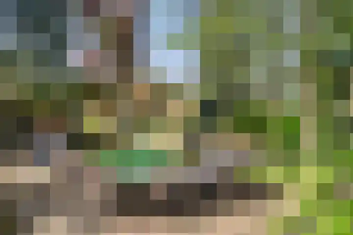 Geertjesweg 35 Wageningen thumbnail 21