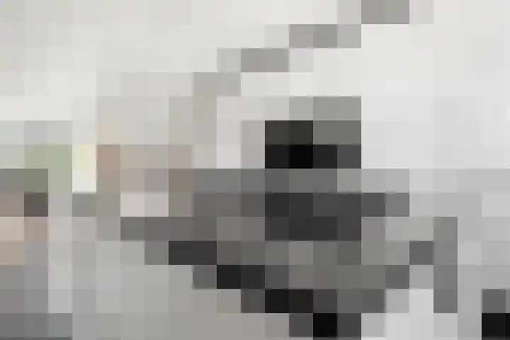 Geertjesweg 35 Wageningen thumbnail 36