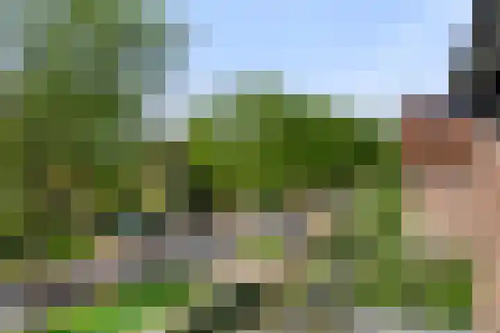 Geertjesweg 35 Wageningen thumbnail 48