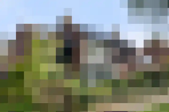 Geertjesweg 35 Wageningen thumbnail 6