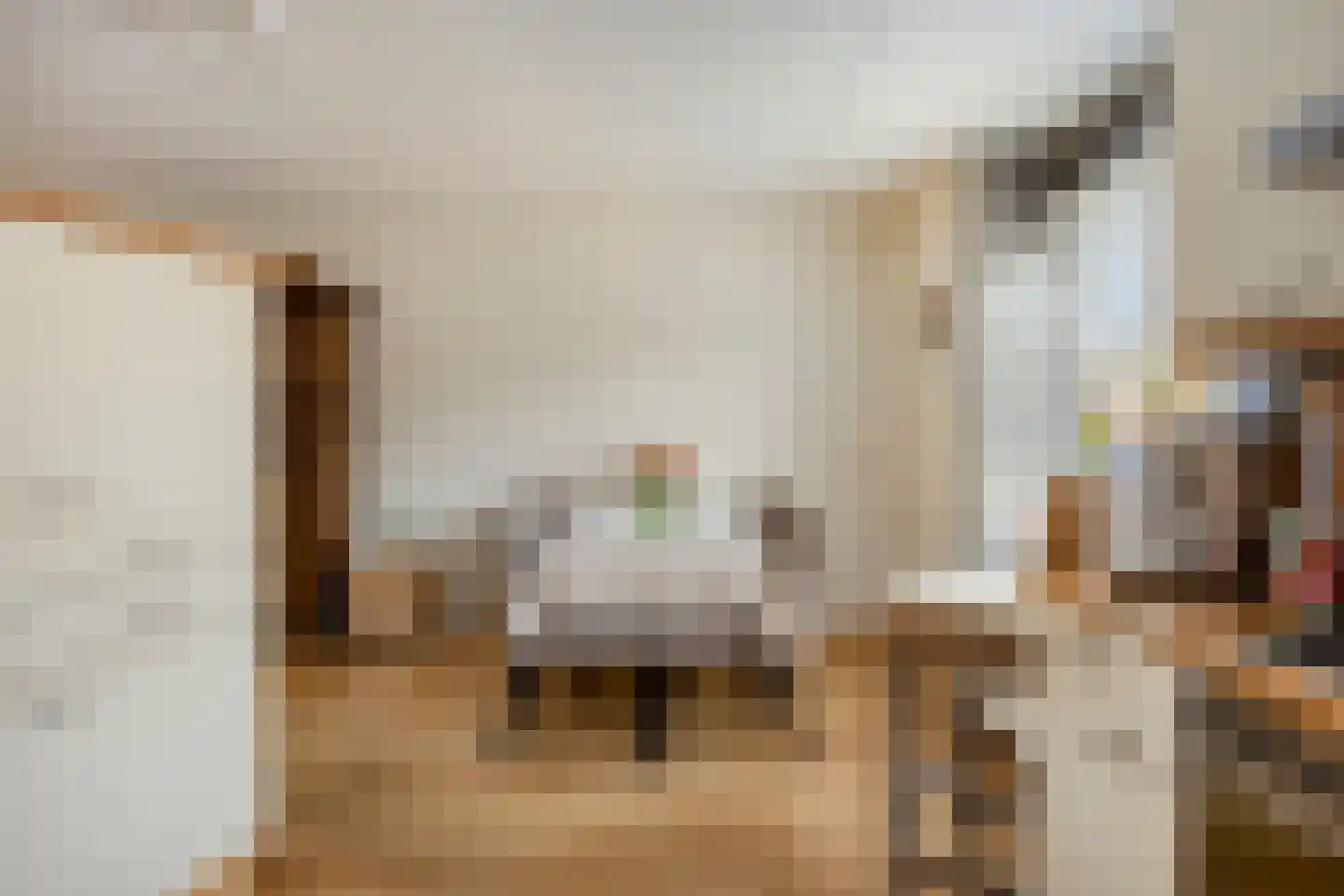 Geertruid Pijnsenhof 13 Hendrik-Ido-Ambacht thumbnail 10