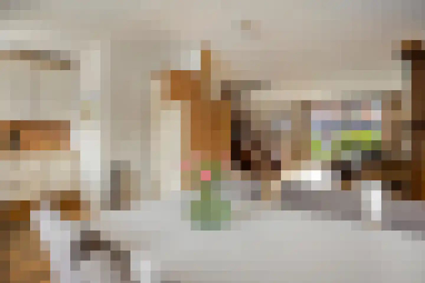 Geertruid Pijnsenhof 13 Hendrik-Ido-Ambacht thumbnail 11