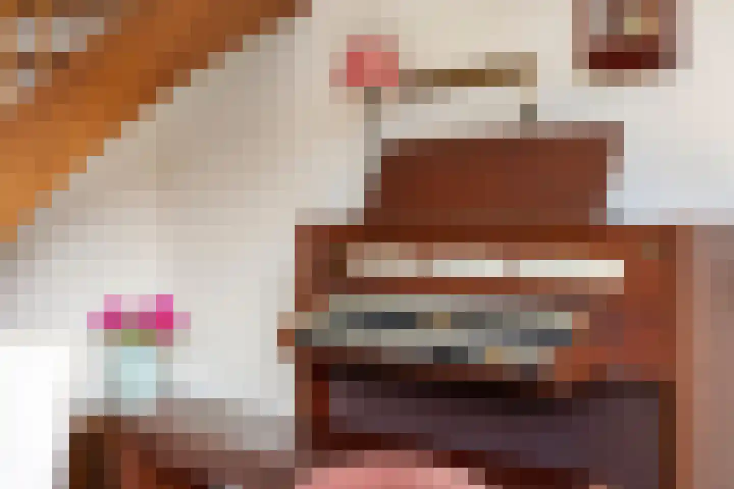 Geertruid Pijnsenhof 13 Hendrik-Ido-Ambacht thumbnail 12