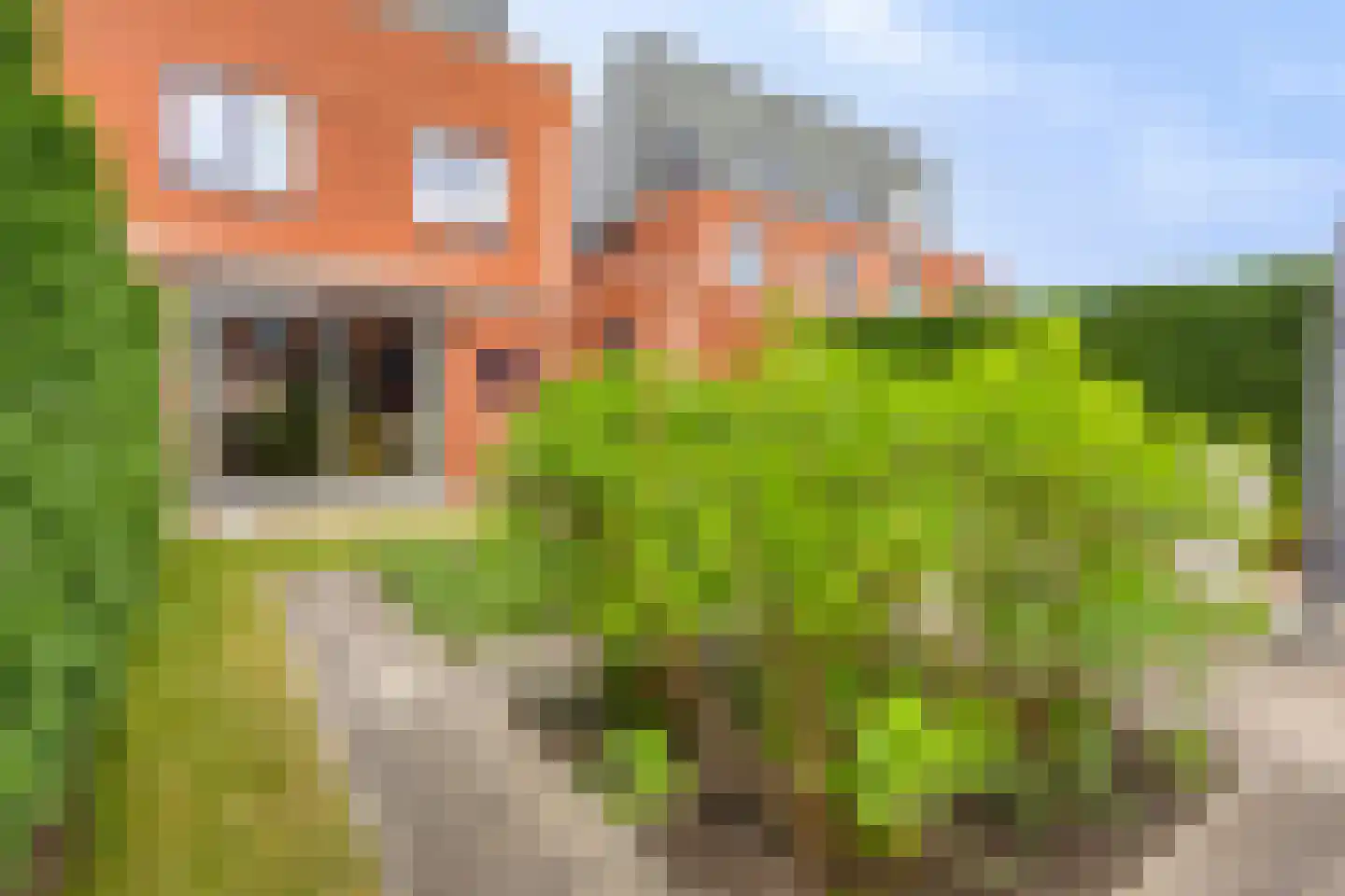 Geertruid Pijnsenhof 13 Hendrik-Ido-Ambacht foto 3