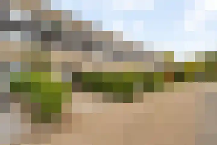 Geertruida Hoeve 18 Gouda thumbnail 4