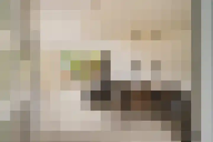 Geertruida Hoeve 18 Gouda thumbnail 6
