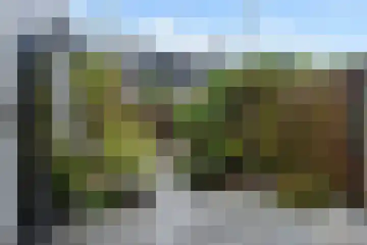 Geertruida Hoeve 25 Gouda thumbnail 15